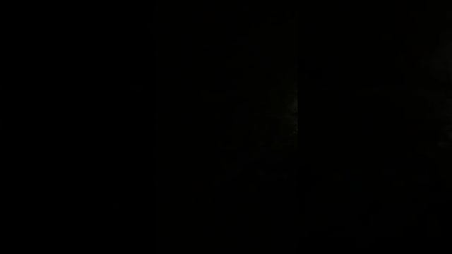 Охота на барсука с лайкой смотреть онлайн