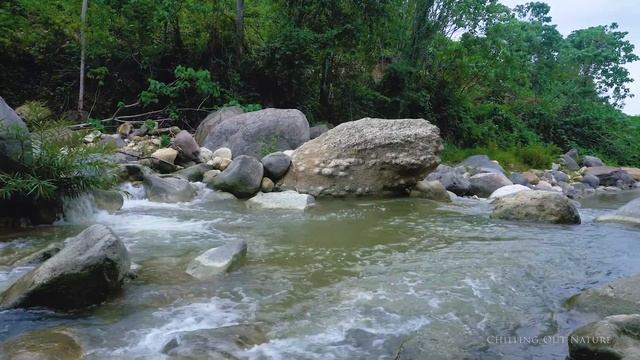 Relaxing Nature Ambience Meditation - Gentle Sound Of A Mountain River Without Birds смотреть онлайн