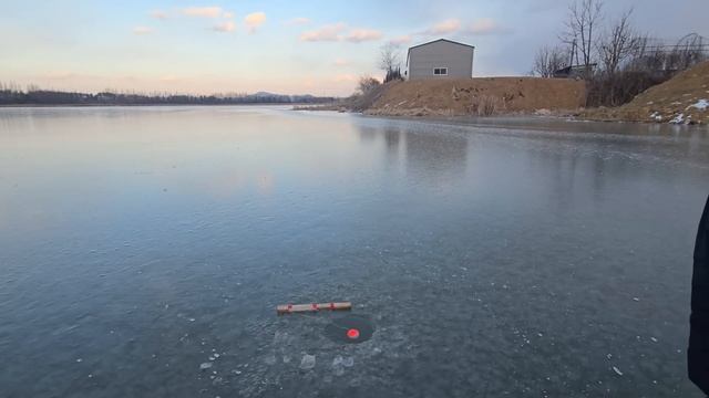 Рыбалка на хапугу, В ТИШИНЕ. #рыбалка #fishing #낚시 #carpfishing #обзор