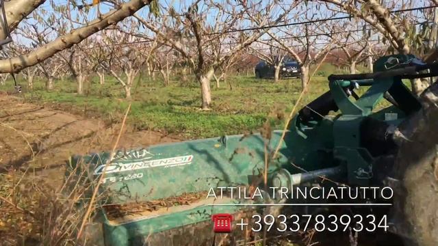 Attila TrinciaTutto- Extreme Trincialegna-Shredder - Broyeur - Trituradora-Trincia Sarmenti