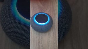 Навыки Умной Колонки: что умеет Маруся?