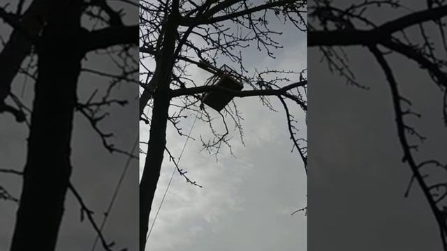 мой новый щегол смотреть онлайн