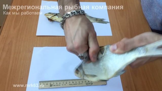 Как мы работаем смотреть онлайн