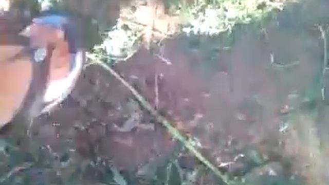 Змия в дворе смотреть онлайн