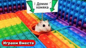 Хомяк выбирается из ПОП ИТ ЛАБИРИНТА и ХИТРЫМЫ ЛОВУШКАМИ ! Видео для детей