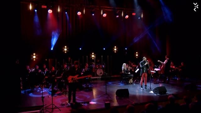 Tribute to Krawczyk - Ali Al Ani смотреть онлайн