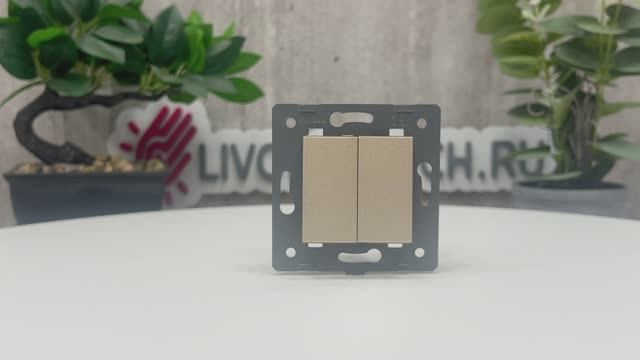 Двухклавишный простой и проходной механический выключатель Livolo (механизм), шампань, VL-C7-K2S-16