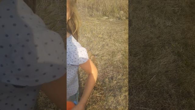 бегаем от баранов🤣 смотреть онлайн