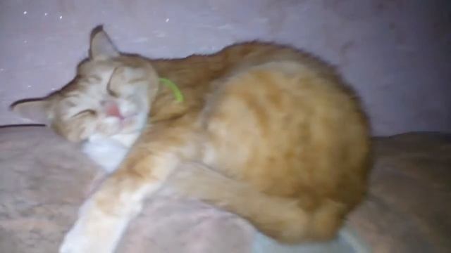 Фуфлыжник отдыхает))) смотреть онлайн