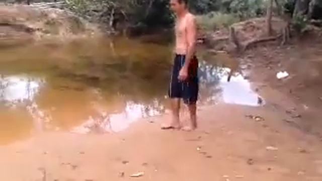 Nestor caida смотреть онлайн