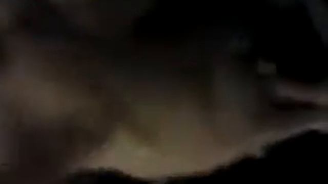 Кот Боня и черепашка ниндзя смотреть онлайн