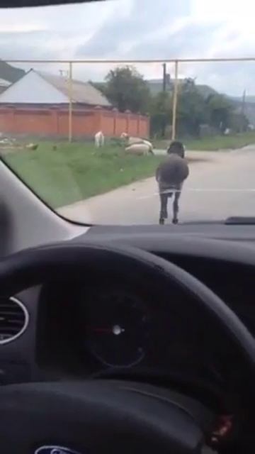 karachay barashka смотреть онлайн