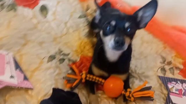 ХЕЛЛОУИН/УКРАШАЕМ КОМНАТУ/ВЫЗЫВАЕМ ПРИЗРАКА...🎃🎃🎃 смотреть онлайн