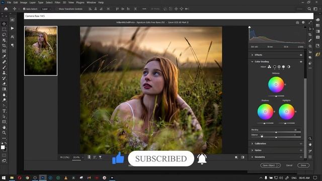 Adobe Camera RAW 2022 14.5 | Color Grading | Part 6 смотреть онлайн