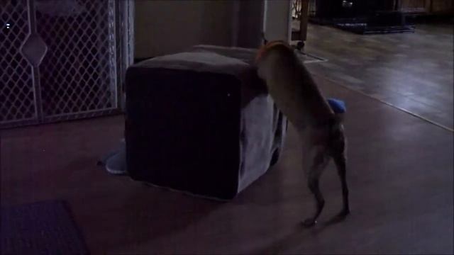 Loni & the footstool смотреть онлайн