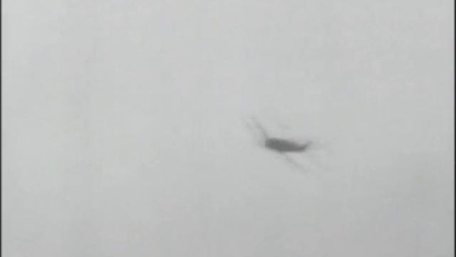 Fw 190