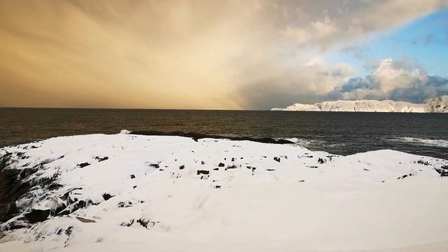 Териберка бронзовая смотреть онлайн