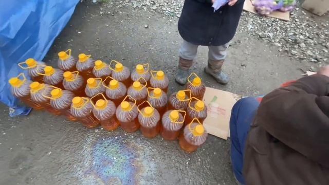 Акмай 600 сом || Ош~Учкун мал базар || ПРОДУКТА смотреть онлайн