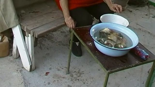 зеркального карпа судьба смотреть онлайн