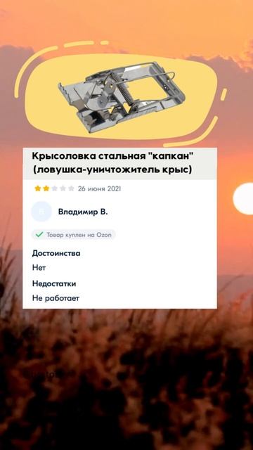 Кормушка для мышей 🐭 #смешныеотзывы #отзывысхарактером #мышеловка #кормушка #мыши #крысы #юмор смотреть онлайн