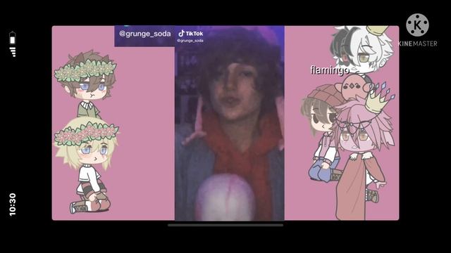 Mcyt reacts to flamingo (random post so it is very lazy and short смотреть онлайн