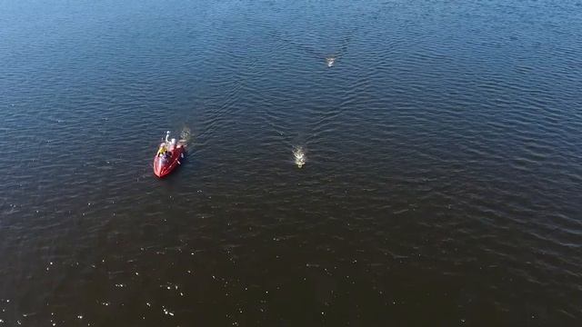 Cross Volga смотреть онлайн