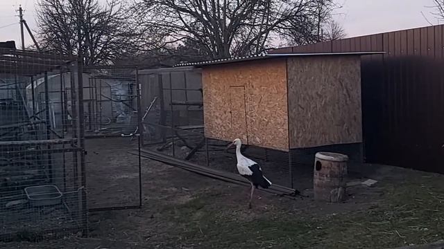 Домой в зимник 12 04 20 г смотреть онлайн