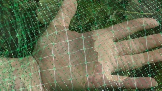 Сетка от птиц Клубничка.