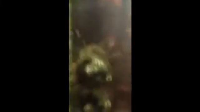 Ропат смотреть онлайн