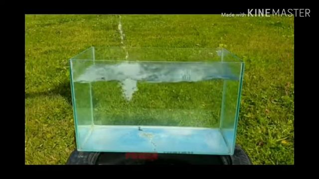 Experiment : Coca cola VS Mentos & Coca cola VS Normal Water. смотреть онлайн