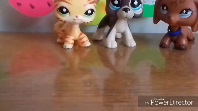 Lps/Распаковка посылок/Первые стоячки и дог смотреть онлайн