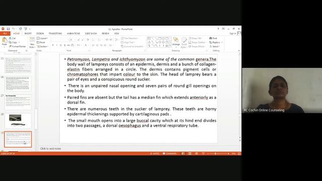 Counseling Session Zoology BZYCT 131 4 of 5 July 2021 смотреть онлайн