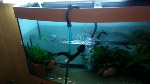 Water change part 2 thermo valve love it смотреть онлайн