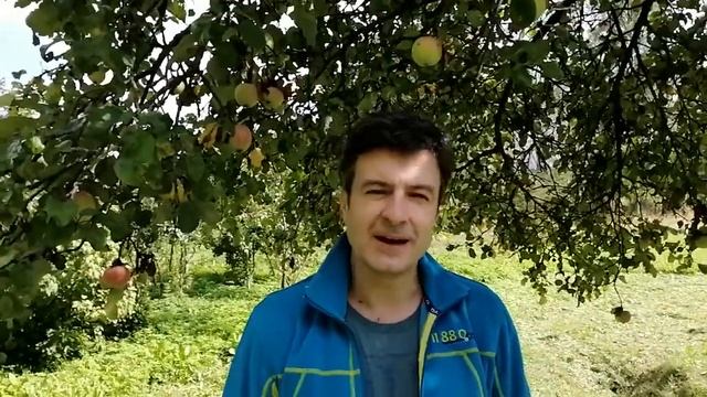 Константин Арбенин (Зимовье Зверей), о концерте 29 августа 2021 смотреть онлайн