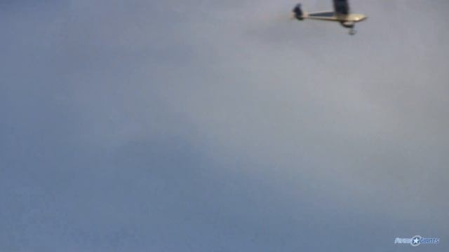 SIG Rascal 80 - FlyingGiants Review смотреть онлайн