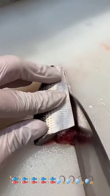 #shorts #pescaria смотреть онлайн