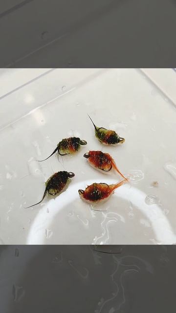 Гаммарус, бокоплав, бормаш на хариуса и ленка смотреть онлайн