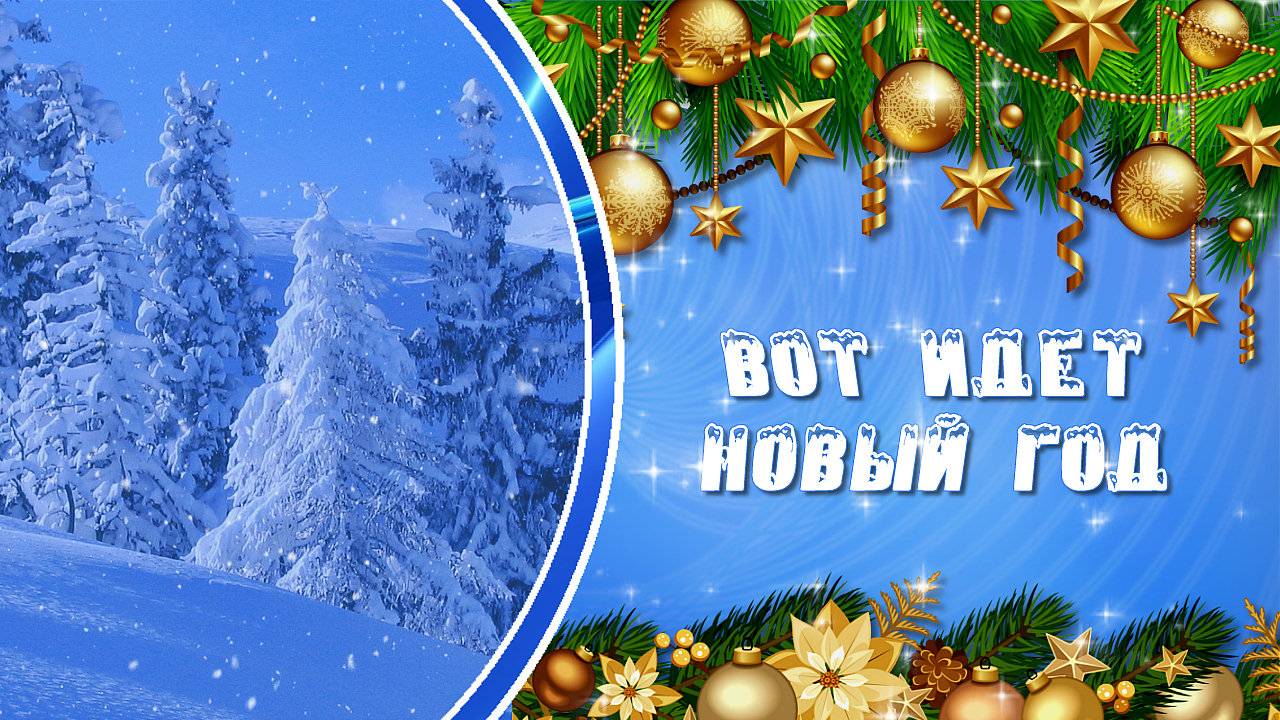 Вот идёт Новый Год !