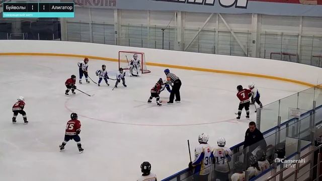 ХК Буйволы vs Алигатор смотреть онлайн