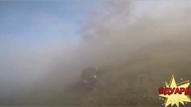 SHAMAN.ЖУРАВЛИ