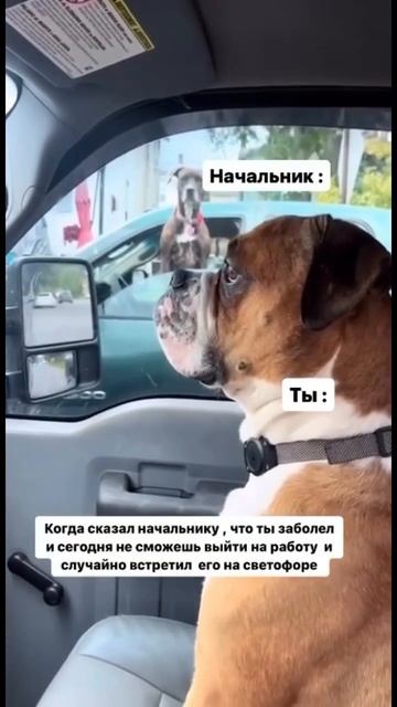 ОДЕЖДА ОПТОМ #одежда #одеждаоптом #оптом #товарка #товарныйбизнес #optos #opt смотреть онлайн
