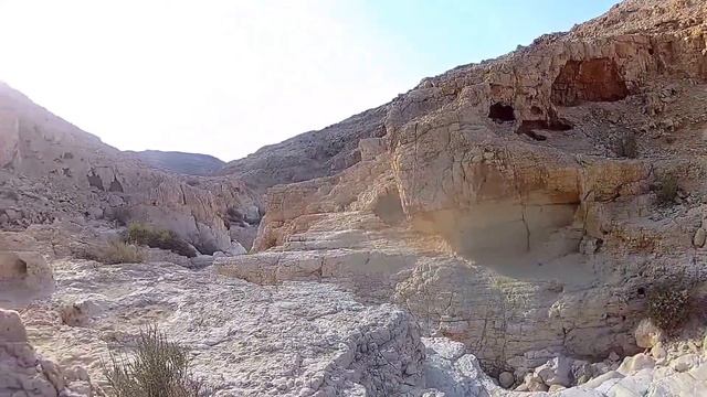 Мое измененное видео смотреть онлайн