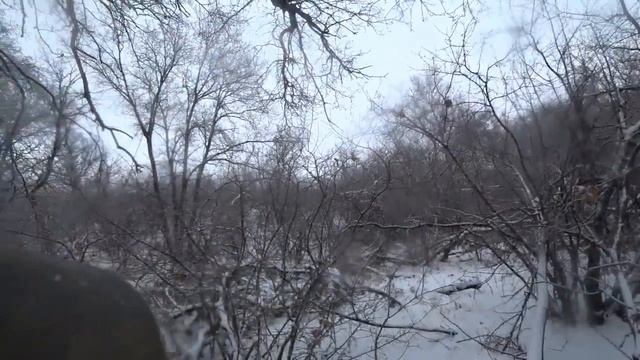 Охота на зайца с гончими 2018 г 5 смотреть онлайн