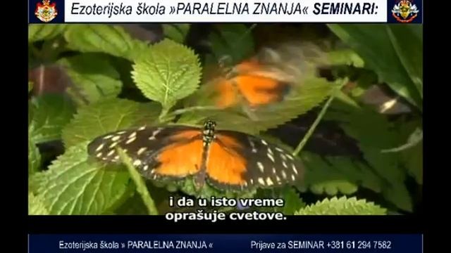 PZ motivacija 211 смотреть онлайн