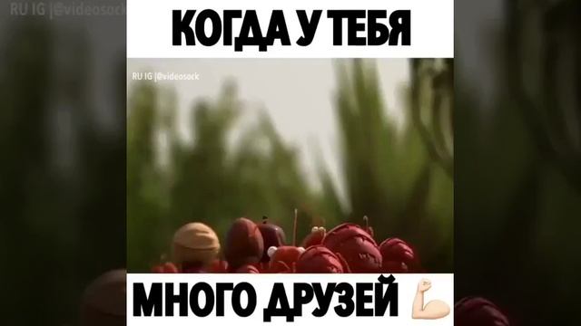 Когда у тебя много друзей ! смотреть онлайн