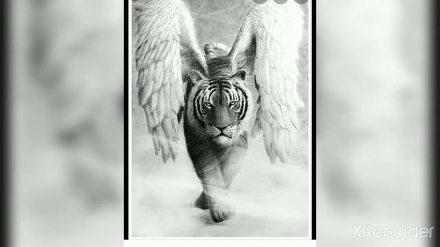 мистики на тигра#2 смотреть онлайн