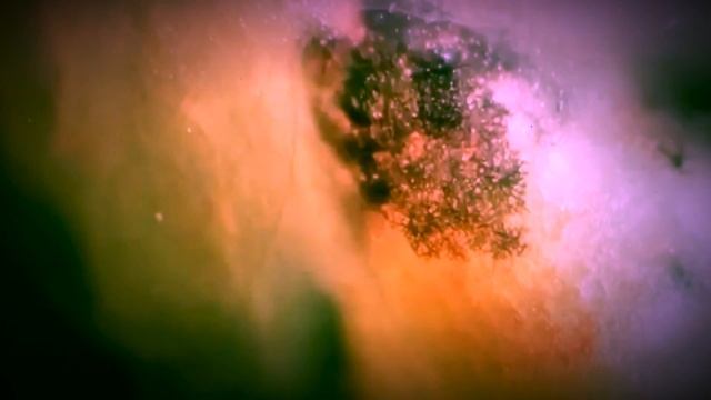 SALAMANDER DREAMS #guitar #instrumental #chill смотреть онлайн