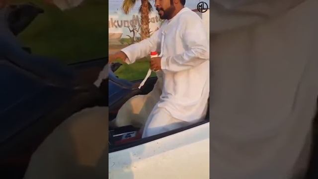 Tiger Attack in Dubai very dangerous attack funny e friend in tiger latest video смотреть онлайн