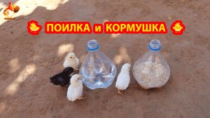 Мини кормушка и поилка из полторашек для цыплят 🐤🐤🐤