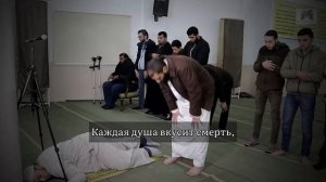 Омар Хишам Каждая душа вкусит смерть,         كُلُّ نَفْسٍ ذَائِقَةُ الْمَوْتِ
